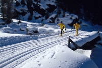 winter_langlaeufer